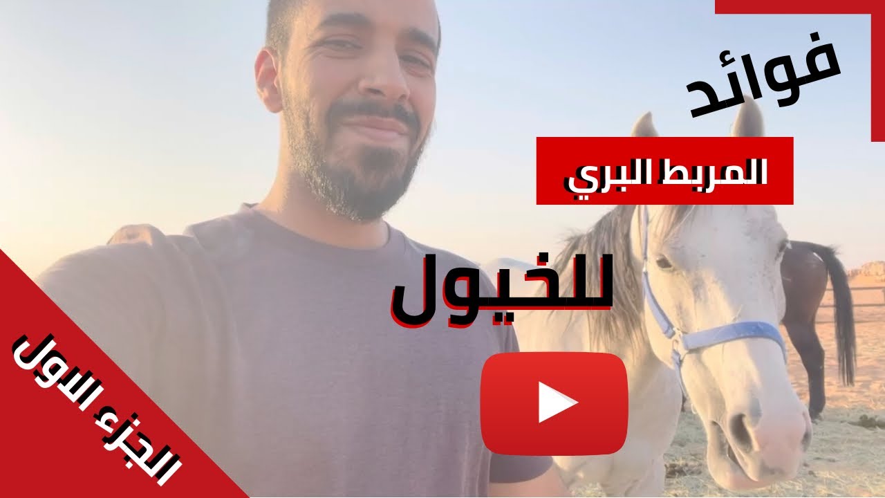 ايش فايدة المربط البري 🤔 (1) ؟ | عبد المحسن المهيدب