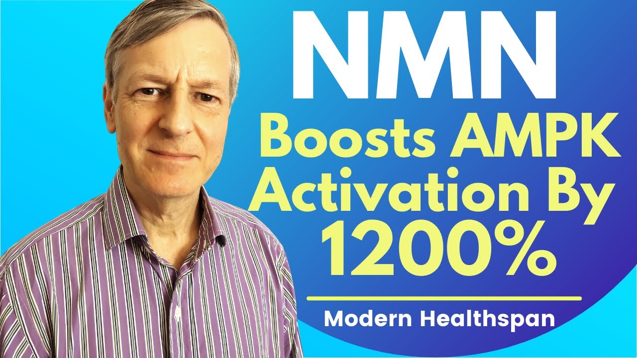 NMN Boosts AMPK Activation By 1,200% And NAD By 300% | Review By Modern Healthspan
