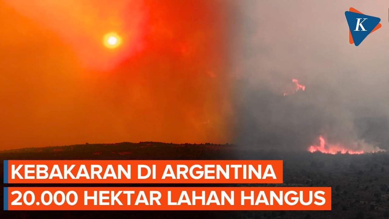 Langit Argentina Merah Membara, Kebakaran Melanda Hanguskan 20.000 Hektar Lahan