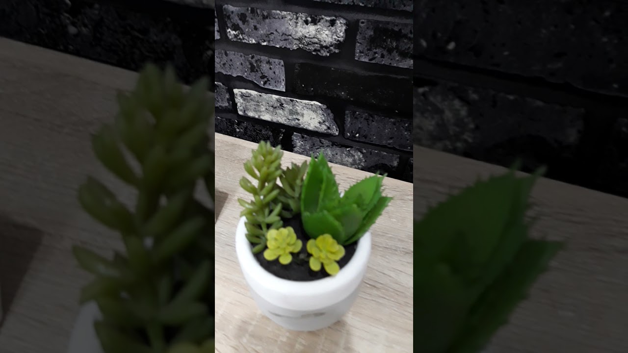 #Shorts SPOT THE FAKE!!