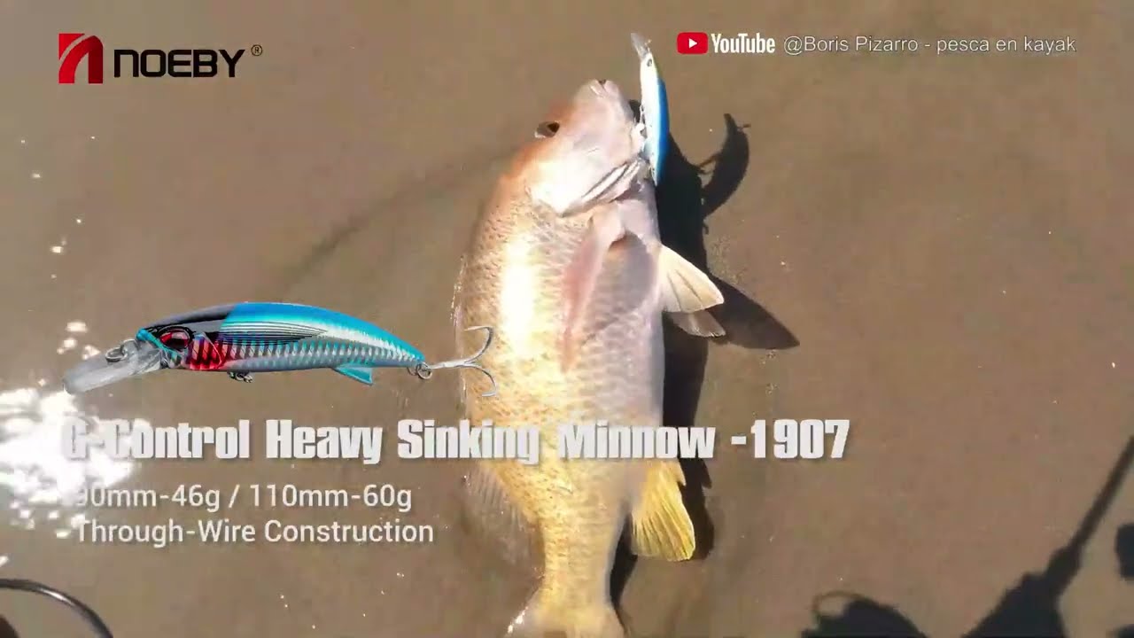 NOEBY TEST--G-Control Heavy Sinking Minnow-1907