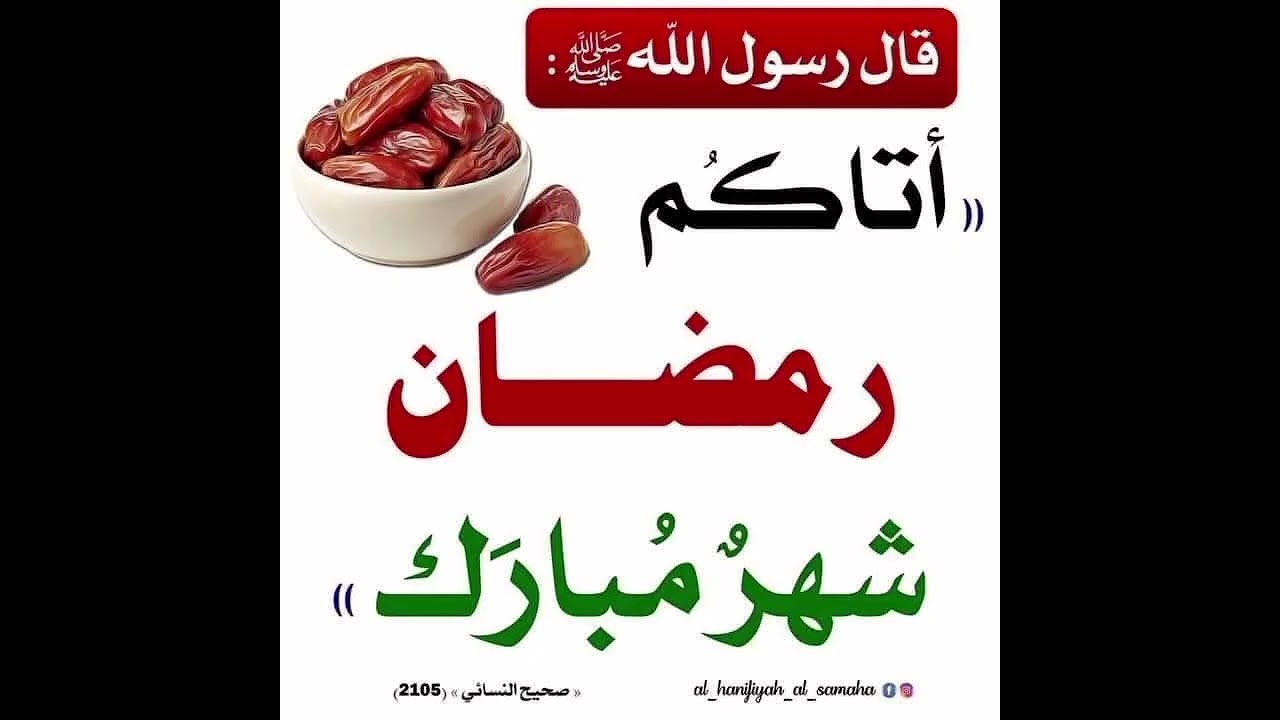 ١٦ فبراير ٢٠٢٦