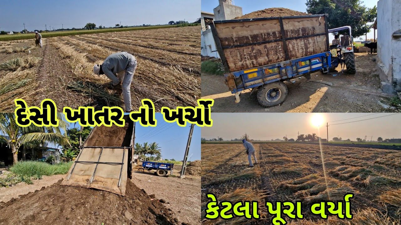 આખો દિવસ પુરા વારિયા|| ખાતર નો ખર્ચો|| farming life 