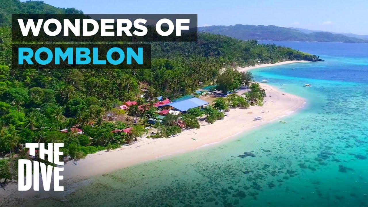 ROMBLON ISLAND: Must See Rare Wonders of Sea Creatures | The Dive