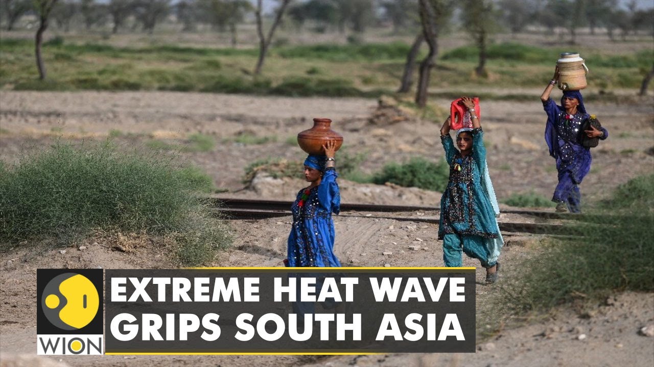 No respite for India's Northern belt as temperatures rise | WION Climate Tracker