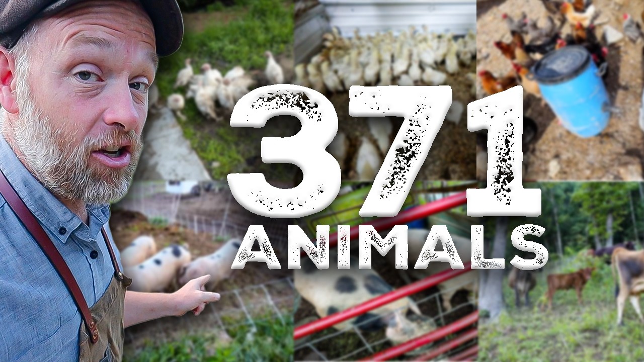 What 371 Animals Eat In A Day
