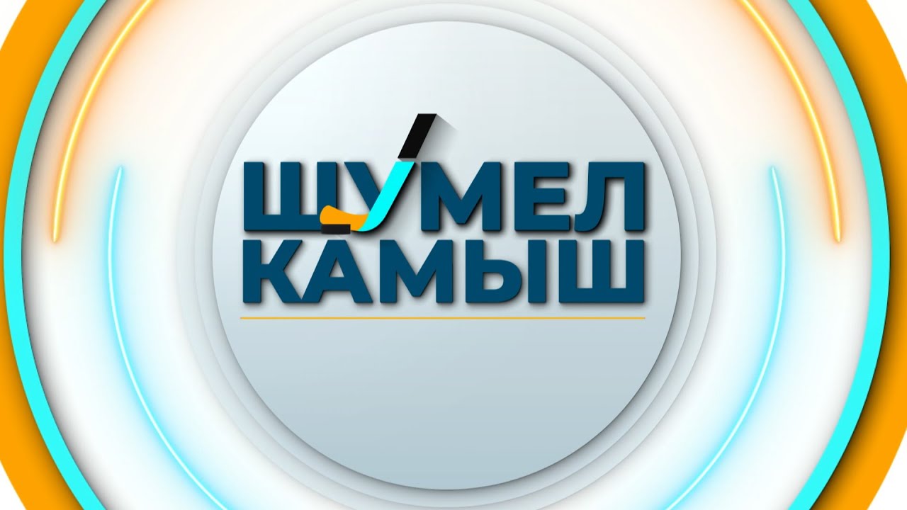 Кубок Руслана Салея - 2024 в Витебске: как город подготовился к спортивному мероприятию? Шумел Камыш