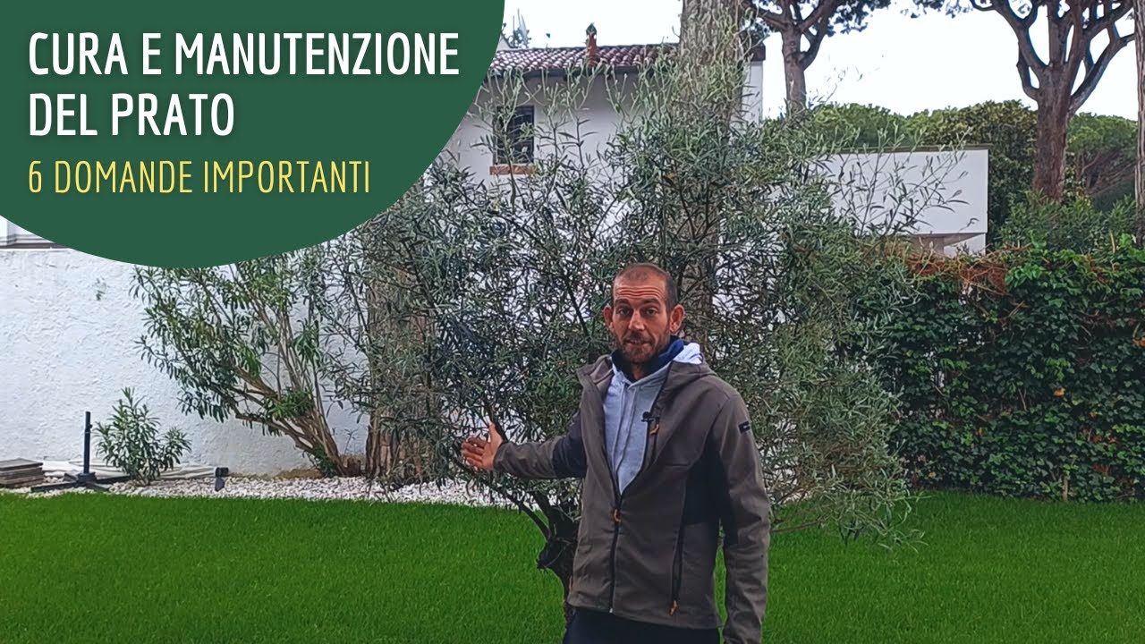 Rispondo a 6 domande frequenti sulla cura e la manutenzione del prato