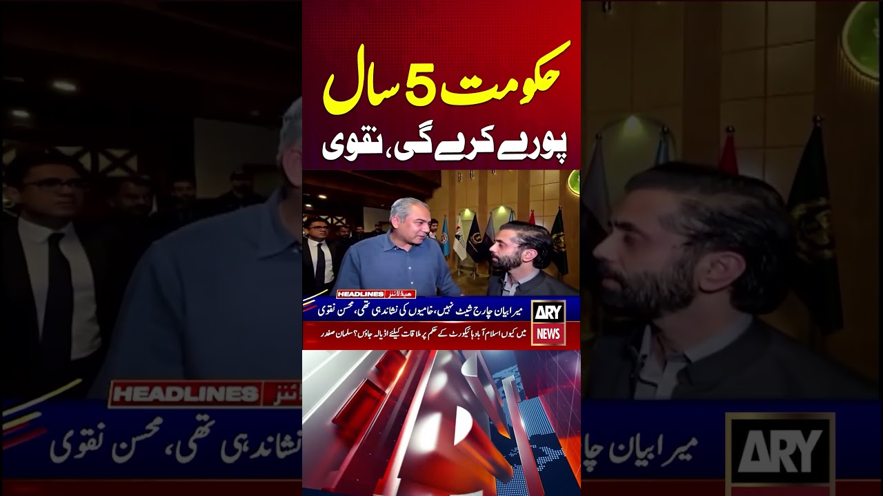 Government will Complete Tenure: Interior Minister Naqvi #pmshehbazsharif #mohsinnaqvi #shorts