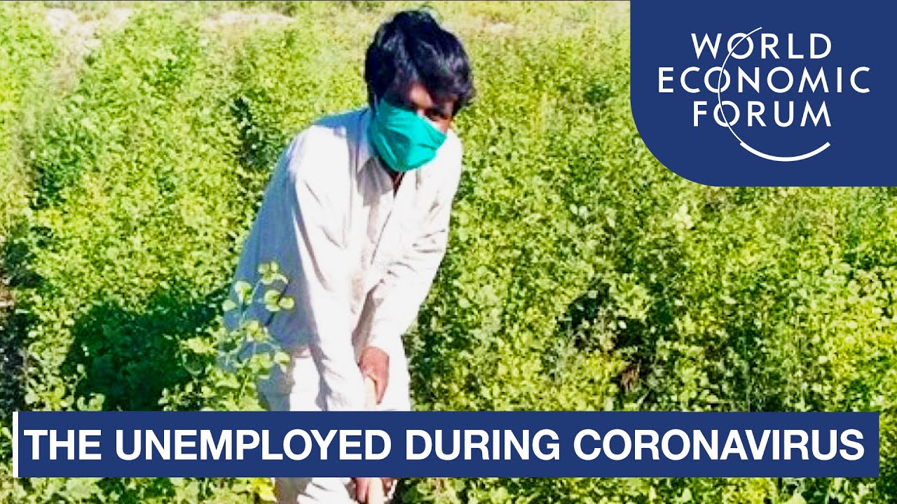 Pakistan is paying people out of work in the pandemic to plant trees