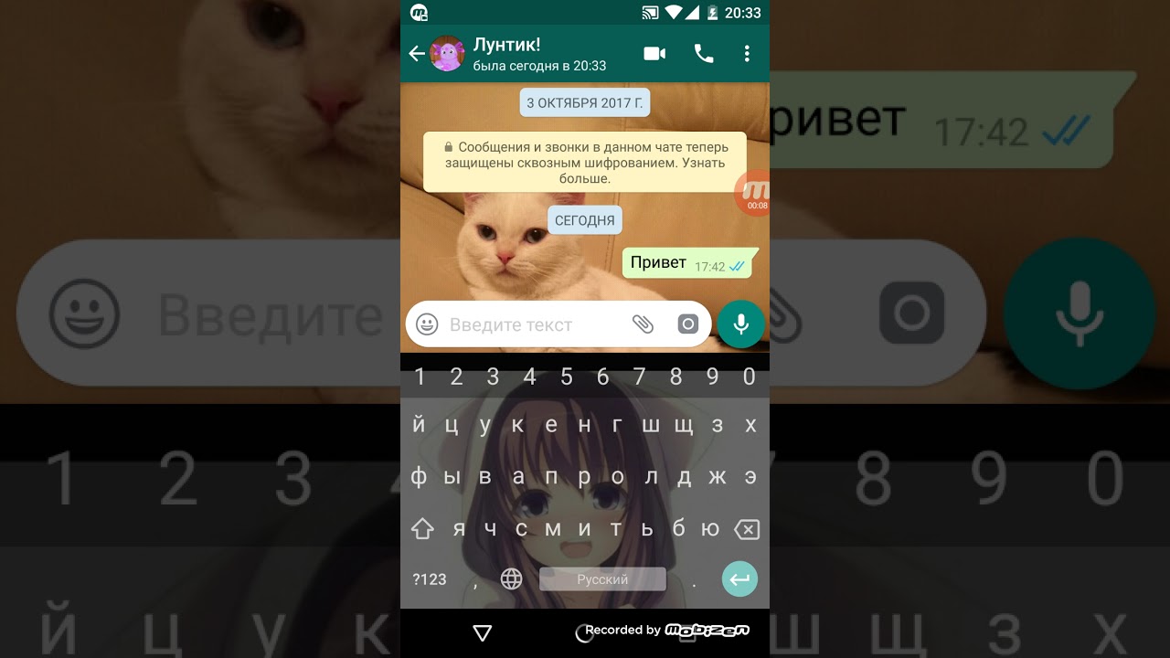 Звоню Лунтику по видео звонку !ОН ОТВЕТИЛ!