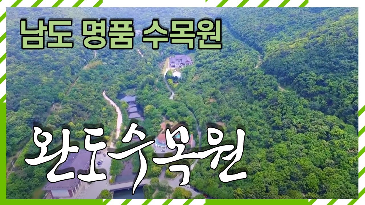 [한국의 수목원] 남도 명품 수목원! 완도수목원