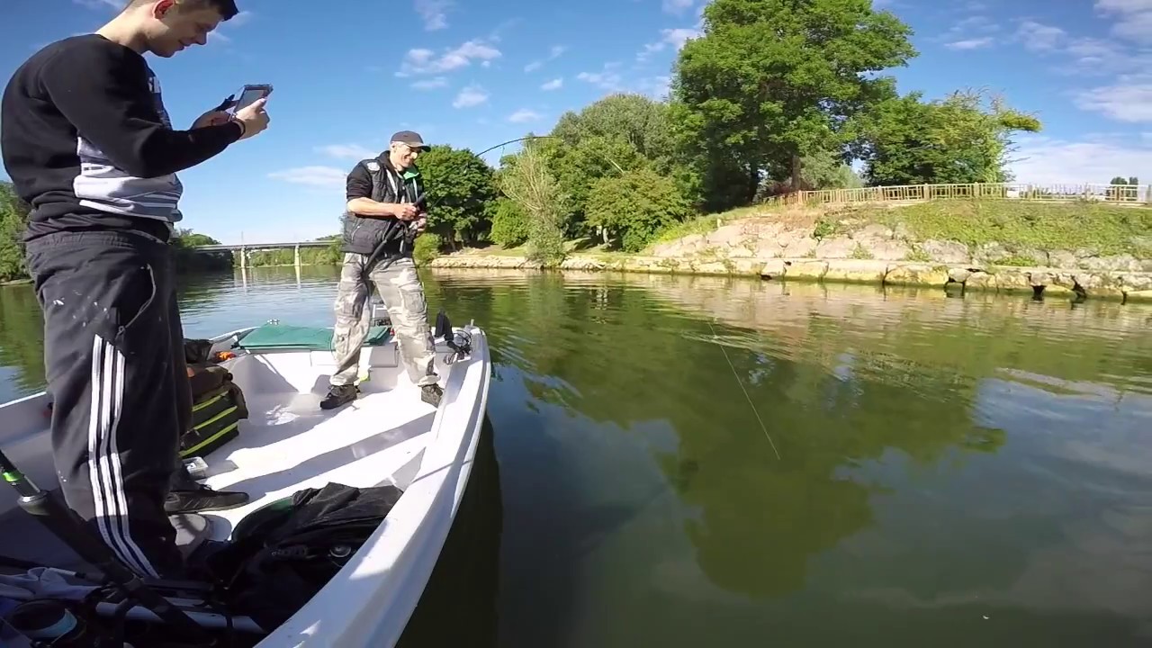 MadCat Black Vertical 190