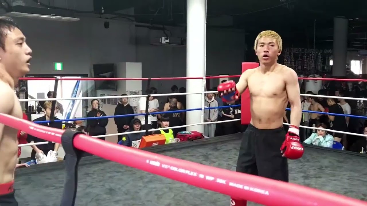 KMMAF 대한이종격투기연맹 아마추어 시합 이승현VS박은우
