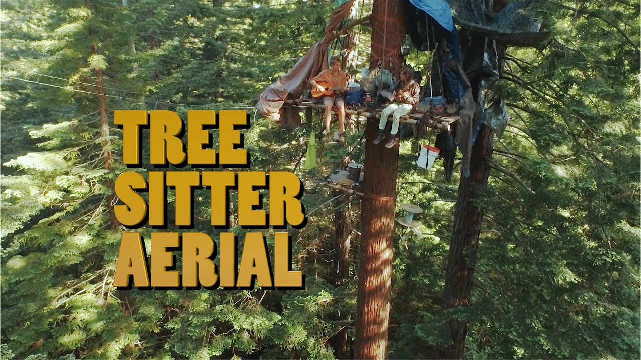 Tree Sitter near Strawberry Rock - Aerial Views