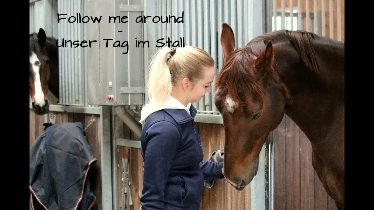 FMA - Dressurtraining, Daily wird geschoren, Futterroutine