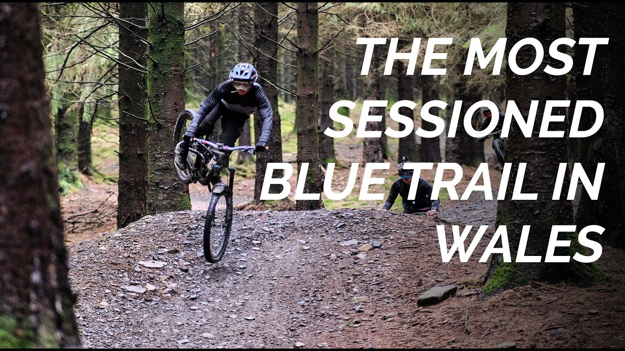 Popty Ping at Bike Park Wales - Trail Check