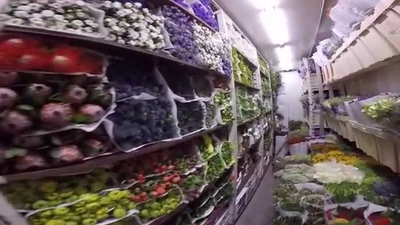 Rewi Flowers, Our Company