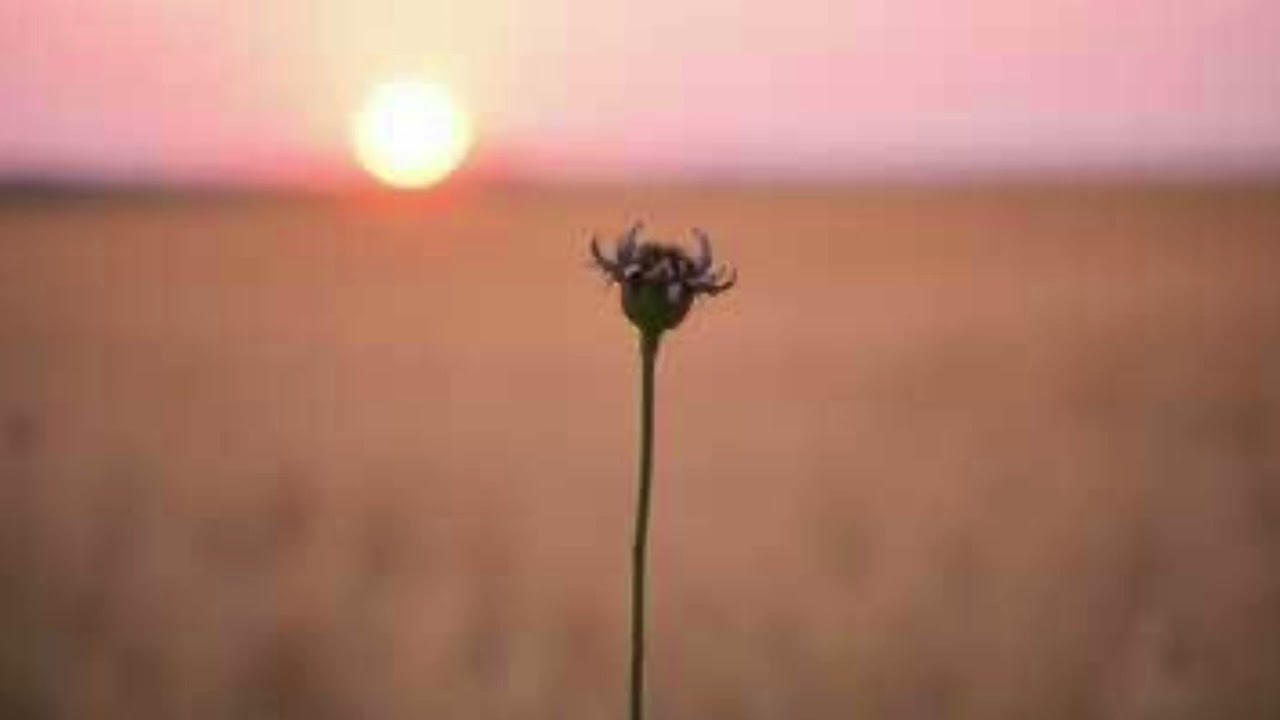 Goodbye-Written by Jeffrey Lowry