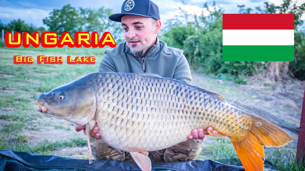 Pescuit la CRAP in Ungaria - Lacul Big Fish LAKE DIN Gyula