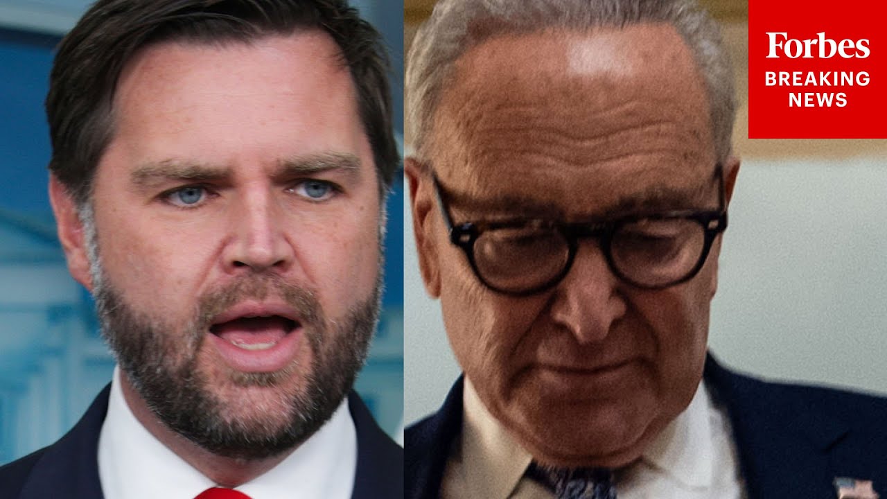 JD Vance Blames Chuck Schumer For Possible Firings During Government Shutdown