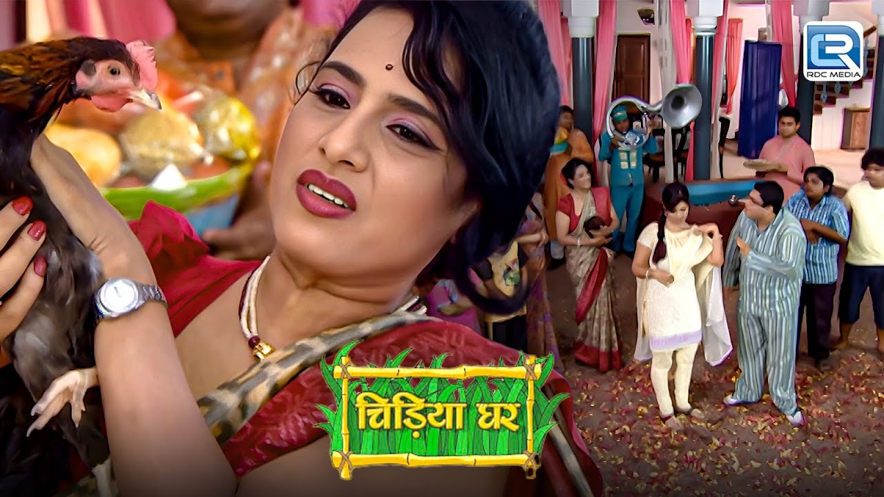 Koyal की माँ आयी जब चिड़ियाघर में मुर्गी लेकर | Chidiya Ghar | चिड़ियाघर | New Full Episode
