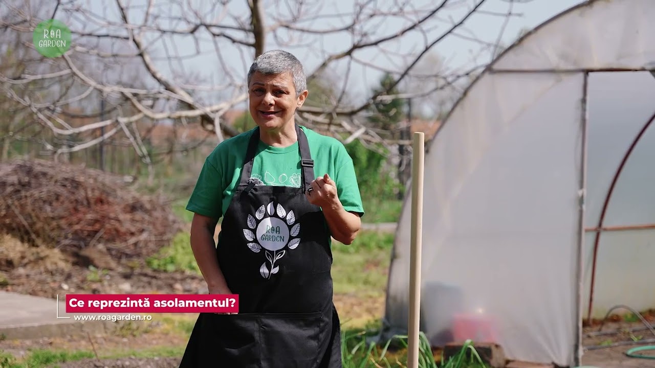 🌱 Înființarea culturii de fasole – Evită greșelile comune! ❌