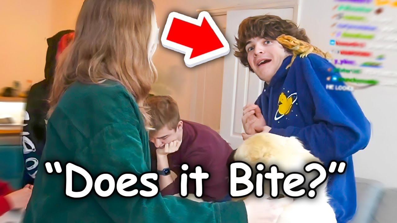 Tubbo's New Favorite Pet is Adorable... But There's Just One Problem!