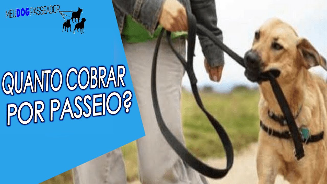 Quanto Cobrar por Passeio? Preços Avulsos e DogHero - Dog Walker