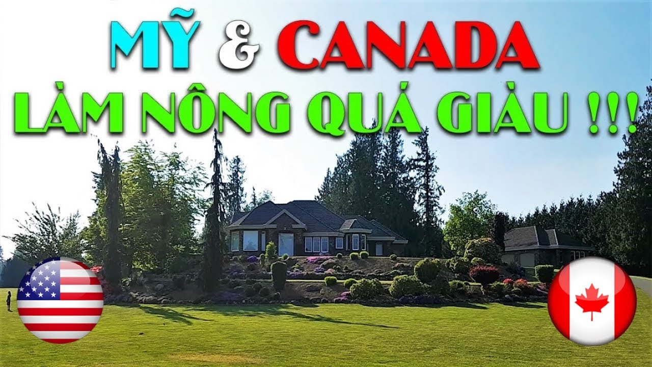Làm Nông Nghiệp ở MỸ & CANADA giàu cỡ nào | Thăm khu nhà giàu Ở CANADA | Quang Lê TV #56