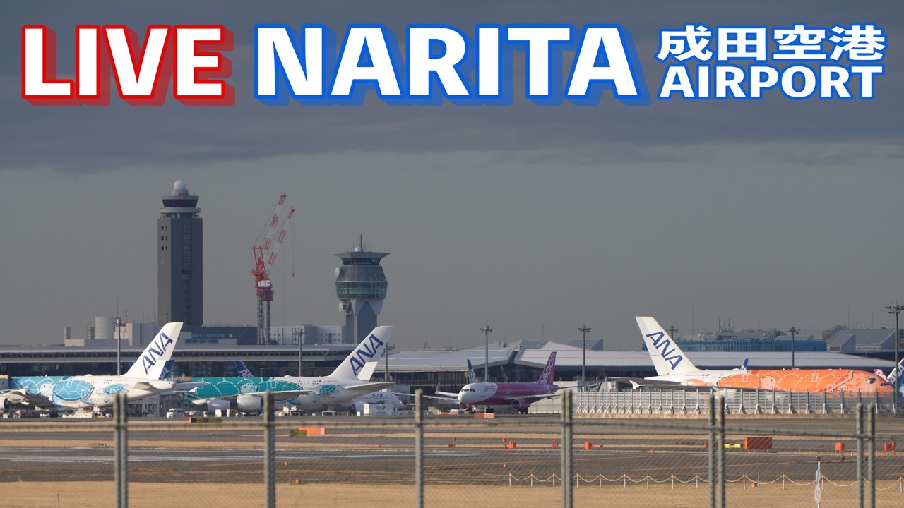 🔸LIVE📡 '26/3/4 成田空港 Narita International Airport  plane spotting