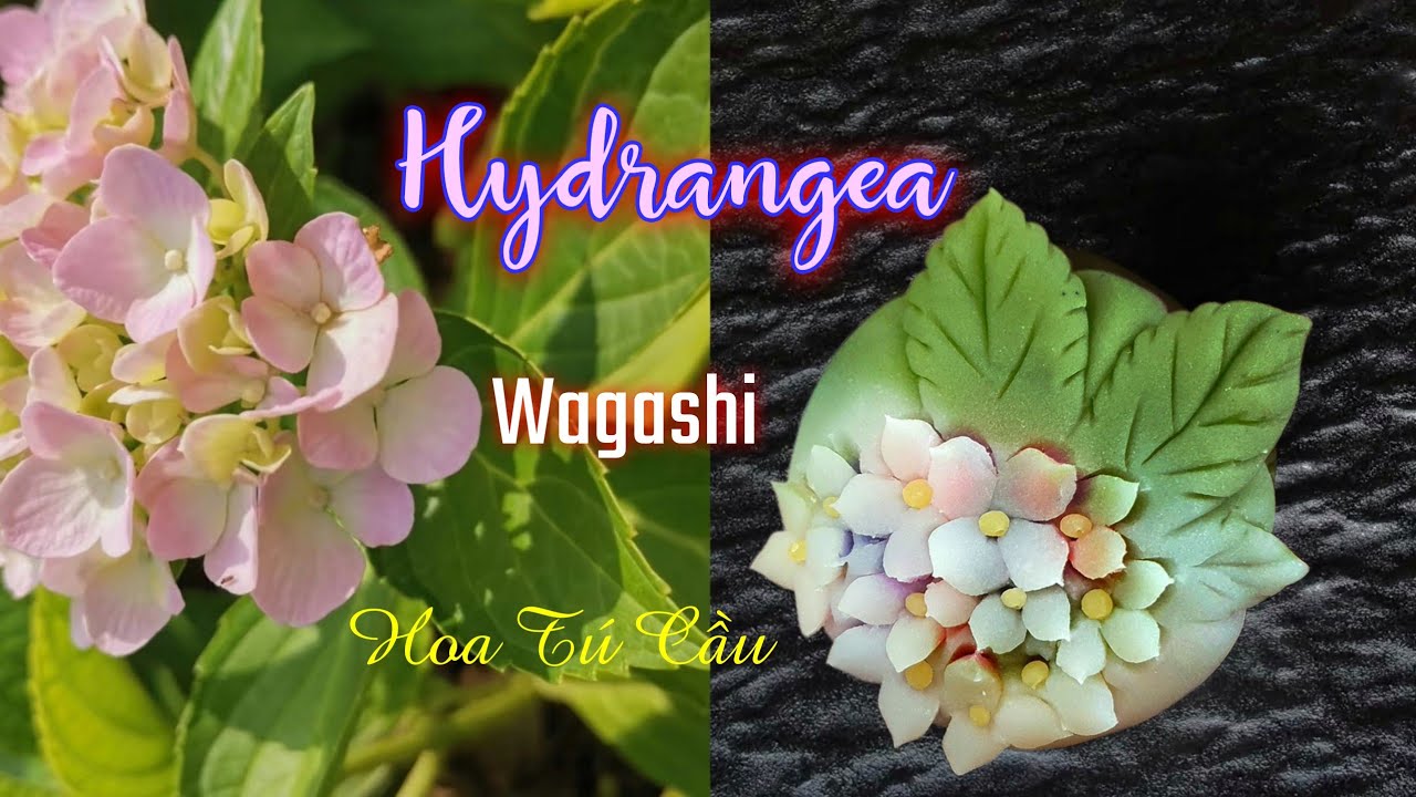 How To Make Hydrangea Nerikiri Wagashi