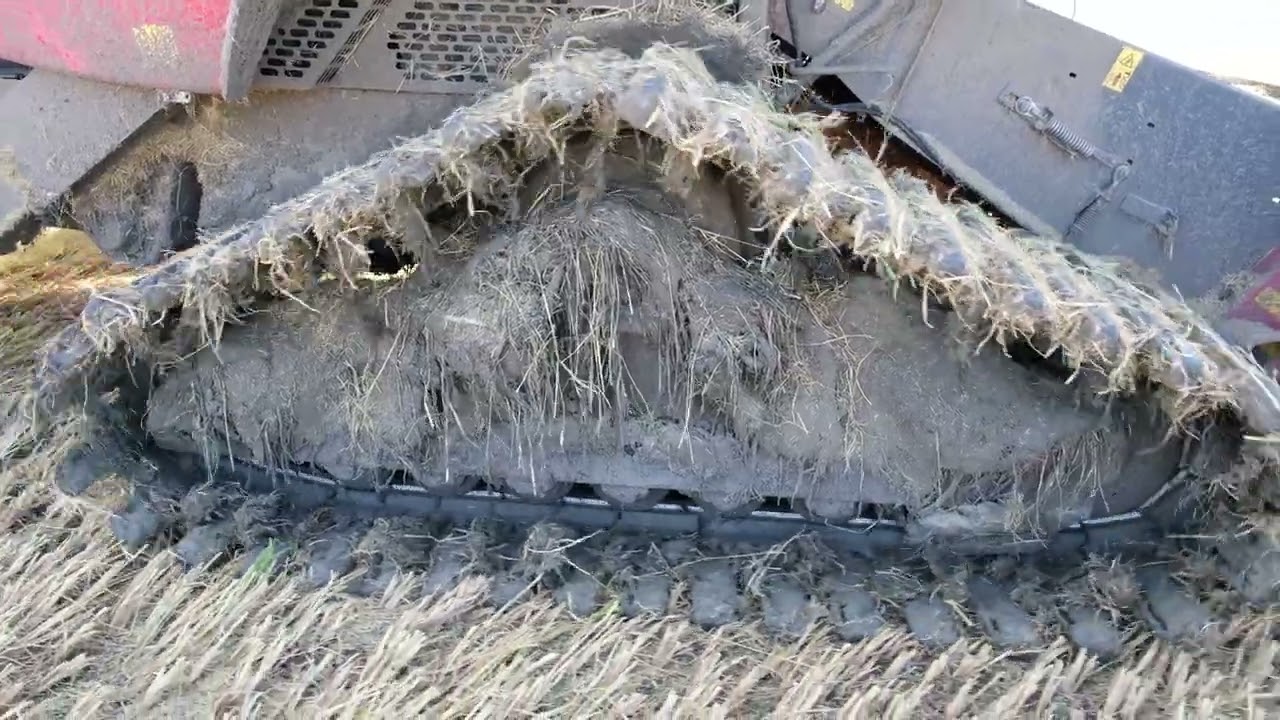 LEVARDA M305 ÇELTİK HASADI