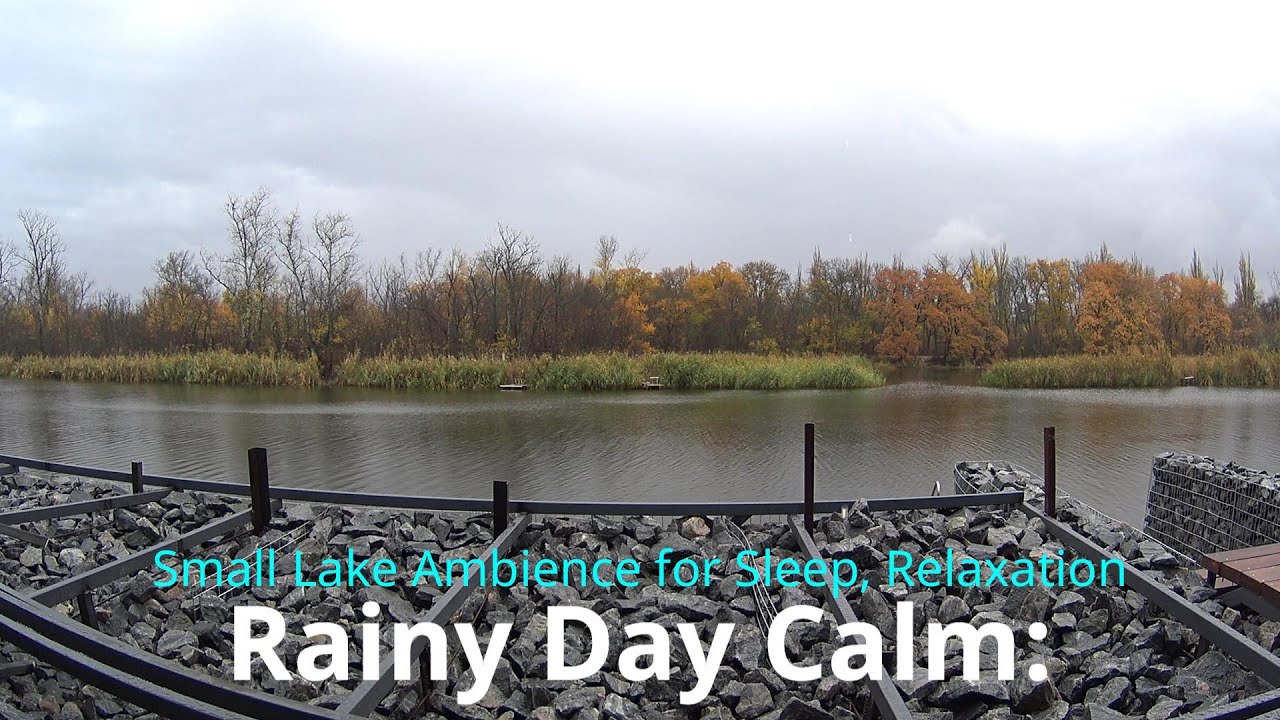 Rainy Day Calm: Small Lake Ambience for Sleep, Relaxation, & Study