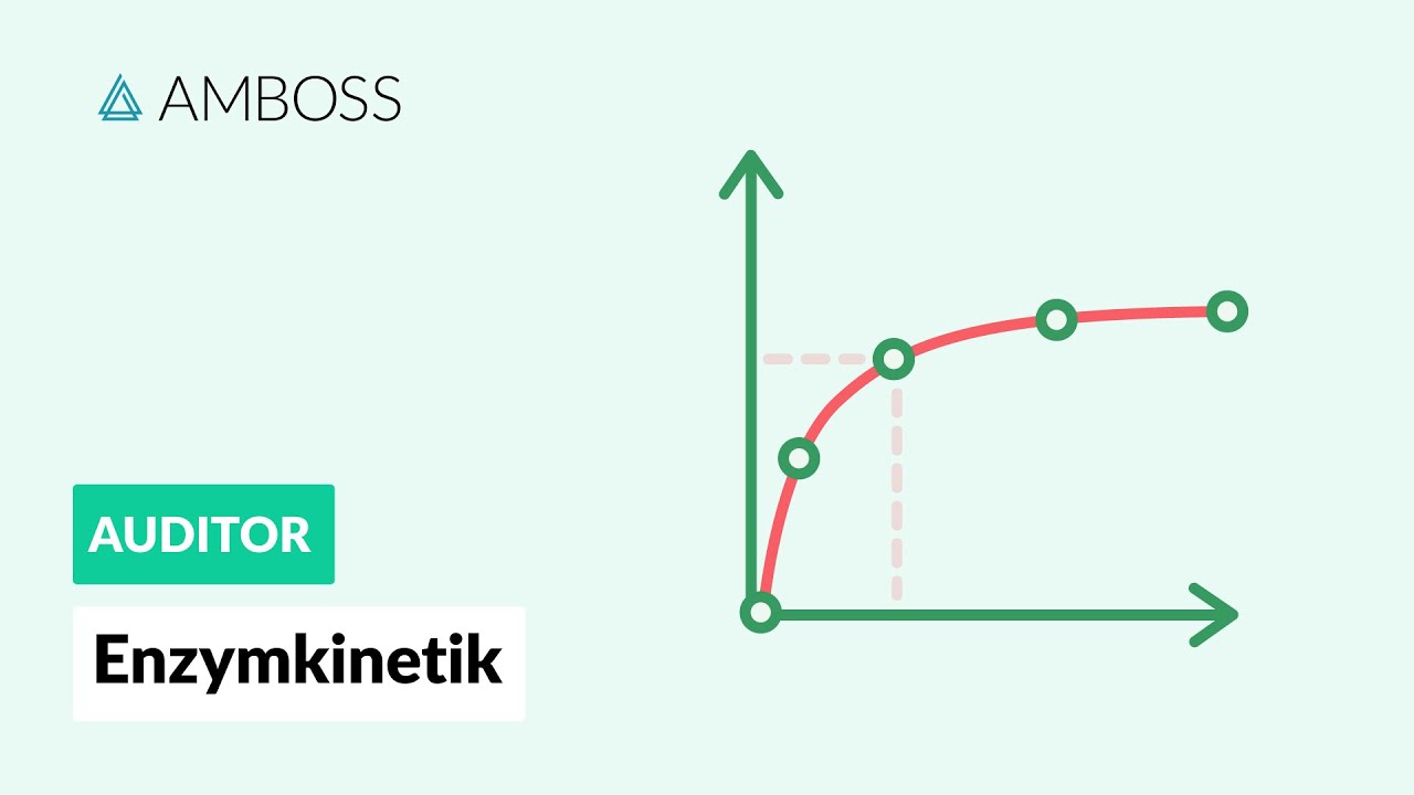 Enzymkinetik - Wie schnell kann ein Enzym arbeiten? AMBOSS Auditor