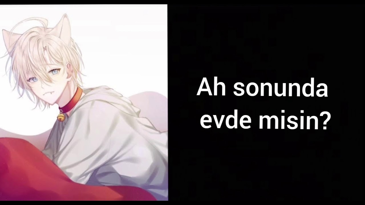 Evcil hayvanınız sizi evde karşılıyor gibi.