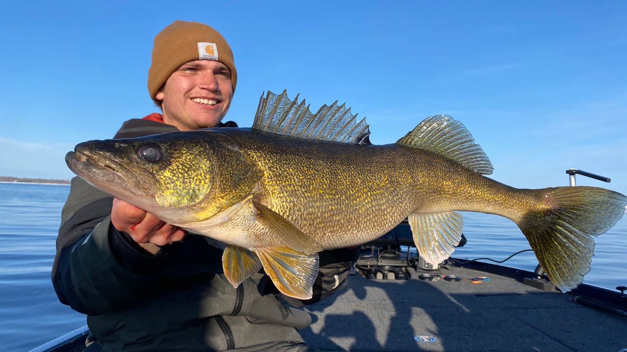 Spring Walleye Fishing MEGA Schools On Green Bay (March 2023)