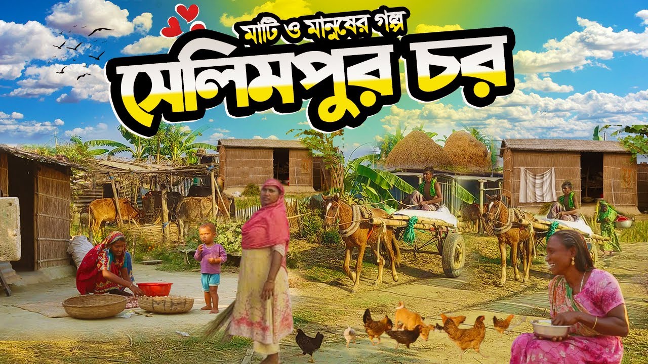 সেলিমপুর চরের সংগ্রামী মানুষের সাথে নিয়তির একি খেলা দুঃখ কষ্টই যাদের জীবন | Village Life of BD |Char