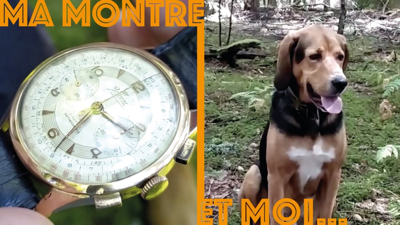 😜 MA MONTRE CHRONOGRAPHE LANDERON EST... BELLE  🙏 | MA MONTRE ET MOI