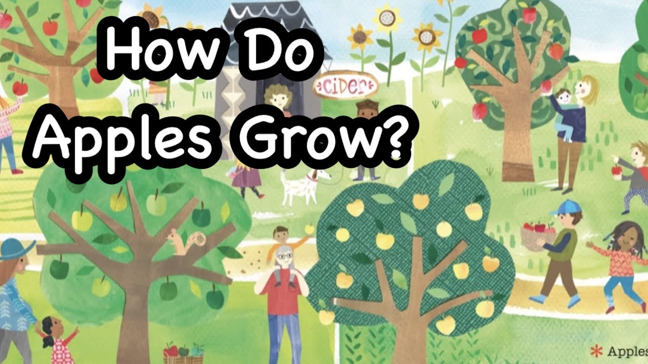 🍎 HOW DO APPLES GROW? | By Jill McDonald | Children's STEM Read-Aloud Book