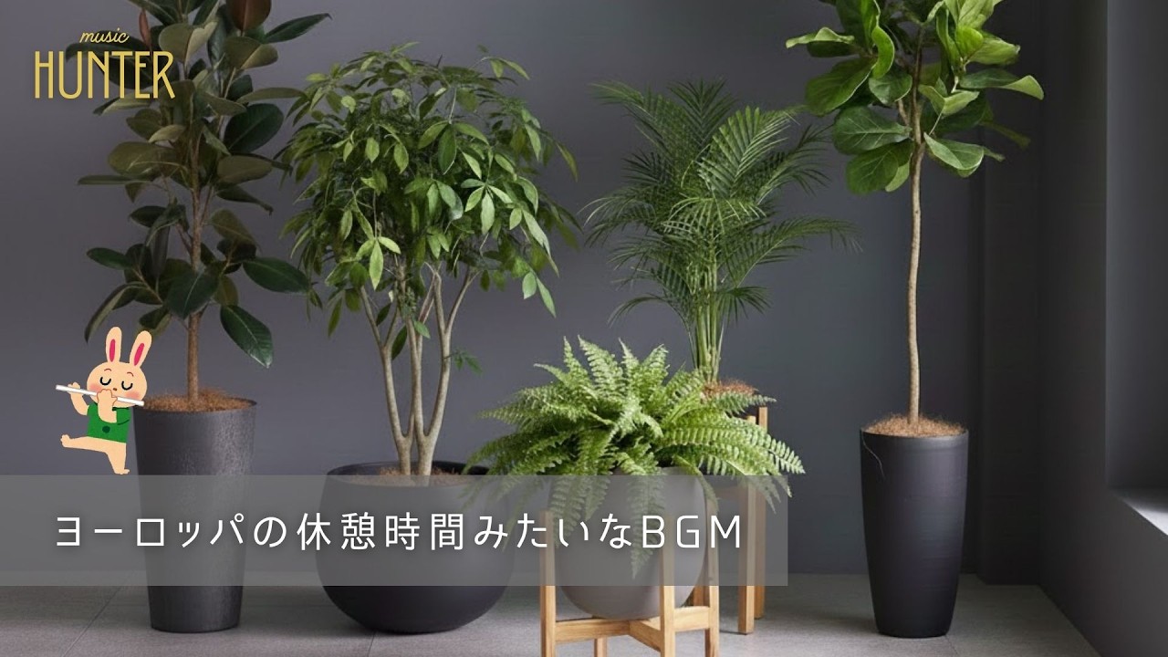 作業用BGM　楽しい午後の時間　🎹