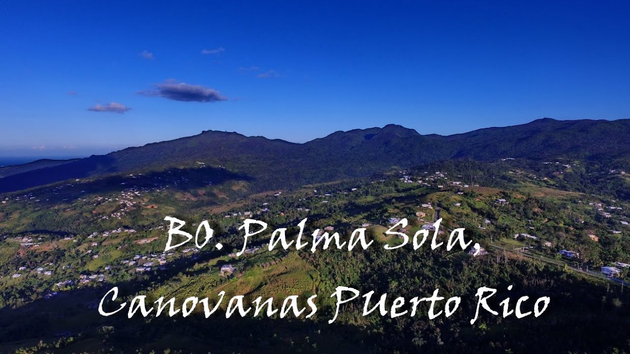 ZONEPHOTOFILMS TRAVEL Bo.  Palma Sola Canovanas Puerto Rico #travel #palmasola #droneroviajero #dji