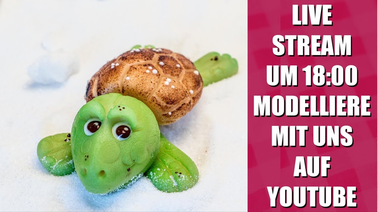 Modellieren leicht gemacht #4 Marzipan Schildkröte