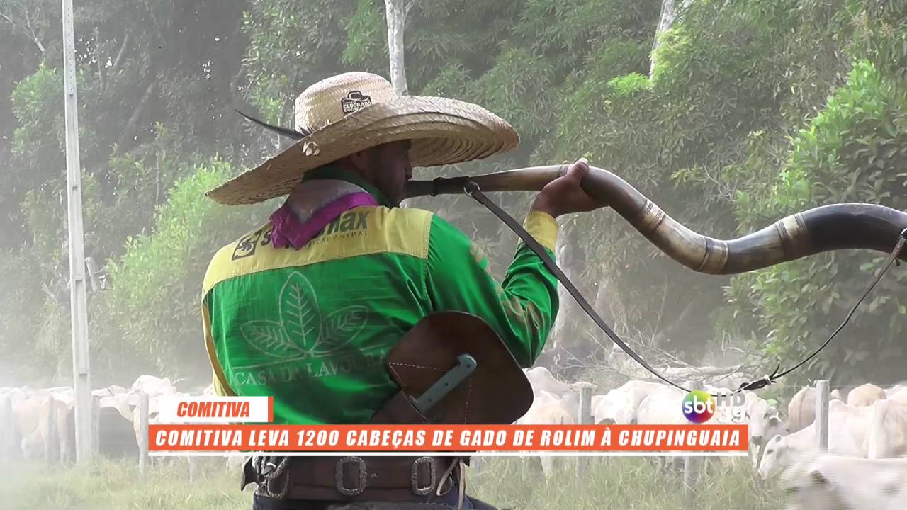 Comitiva leva 1200 cabe&ccedil;as de gado de Rolim &agrave; Chupinguaia Parte 02