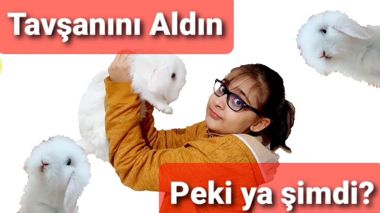 Tavşan İle Evde İlk Gün