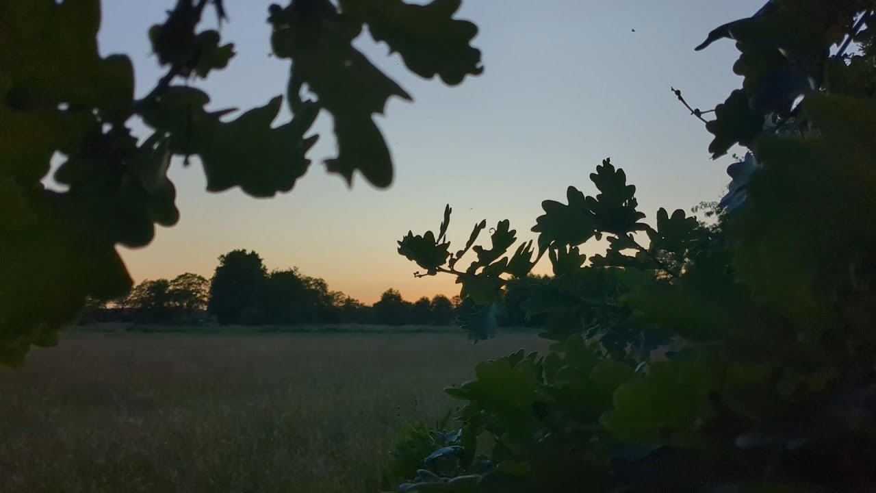 Midsummer moments | Slow living in the Netherlands