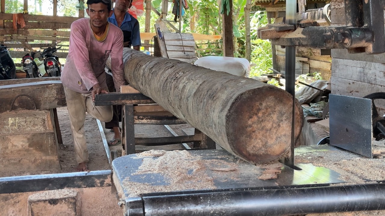 Utilization of Coconut Wood 5x7 After Being Cut with a Sawmill