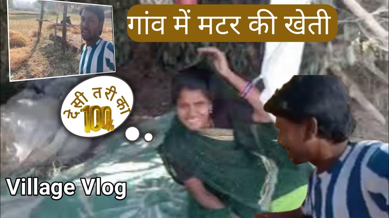 मटर की खेती का सही तरीका 2026 | कम लागत, ज्यादा पैदावार#peace #matar ki kheti kaise karen