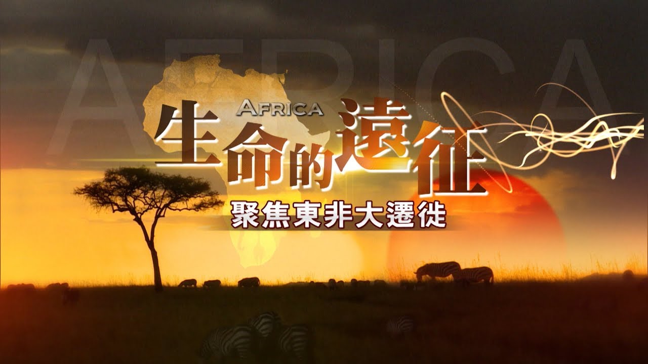 生命的遠征   聚焦東非大遷徙《聚焦全世界》