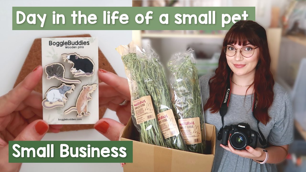 A day in the life of a small pet small business | VLOG